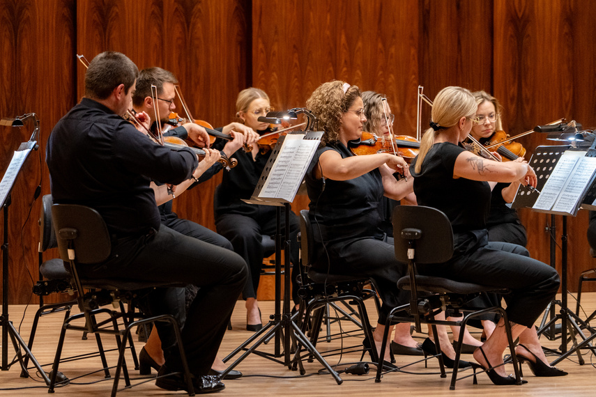 Inauguracja Elbląg Music Masterclass już za nami zdjęcie nr 311527