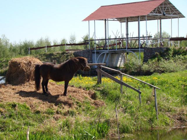 Wakacje w Nowej Holandii zdjęcie nr 25284