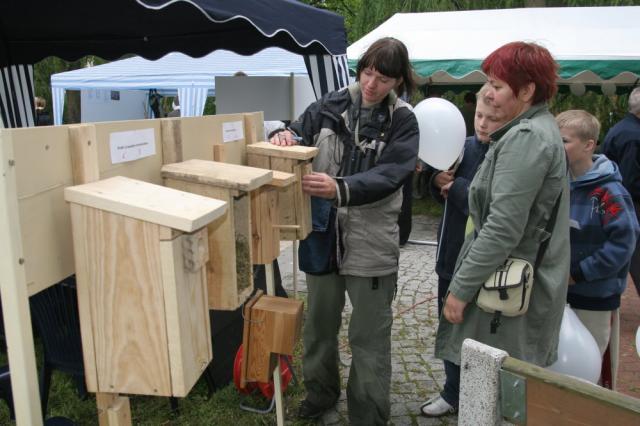 BioBlitz w Nowym Dworze Gdańskim zdjęcie nr 25454