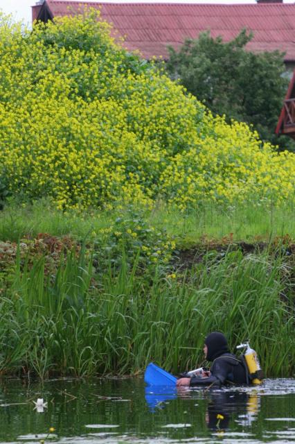 BioBlitz w Nowym Dworze Gdańskim zdjęcie nr 25460