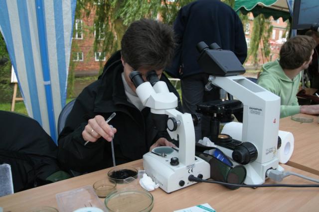 BioBlitz w Nowym Dworze Gdańskim zdjęcie nr 25452