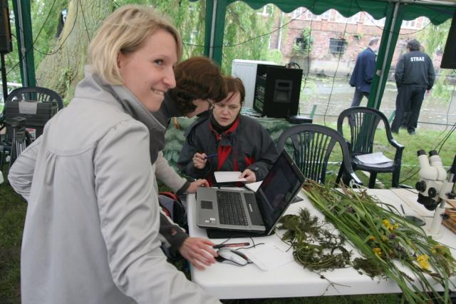 BioBlitz w Nowym Dworze Gdańskim zdjęcie nr 25456