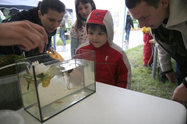 BioBlitz w Nowym Dworze Gdańskim zdjęcie nr 25451