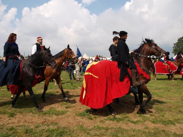 Kierunek – na Grunwald! zdjęcie nr 25788