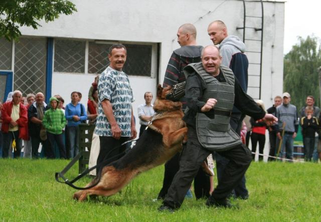 Festyn policji zdjęcie nr 25872