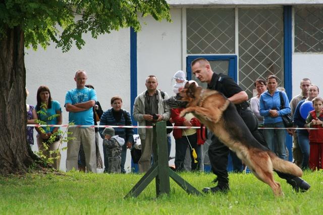 Festyn policji zdjęcie nr 25871