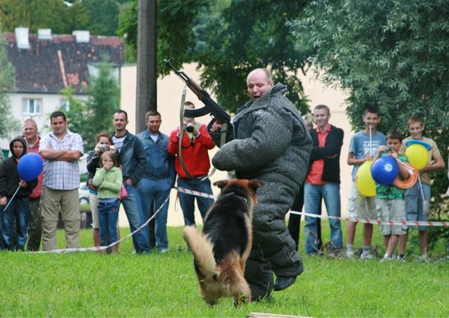 Festyn policji zdjęcie nr 25874