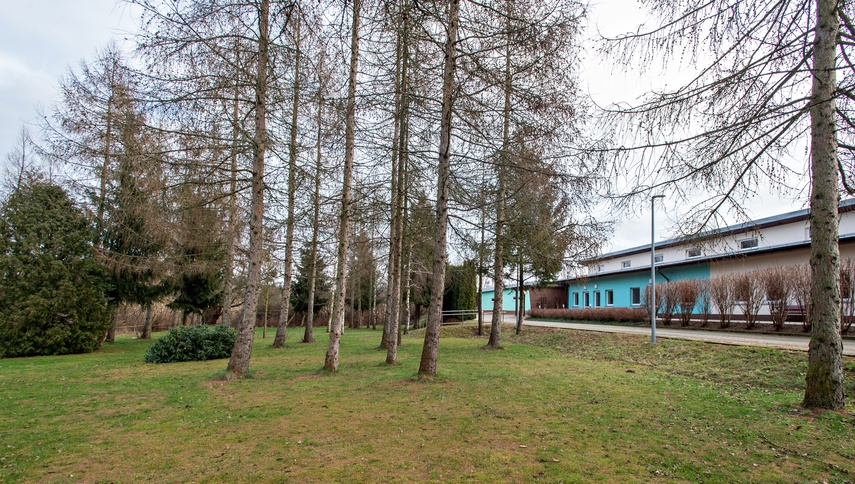 Tu nauka i empatia idą w parze zdjęcie nr 326223