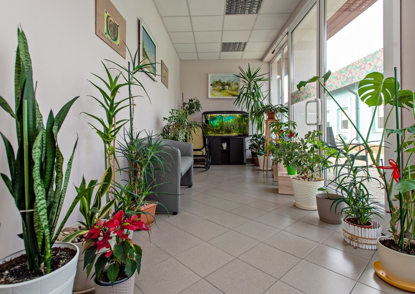 Tu nauka i empatia idą w parze zdjęcie nr 326215