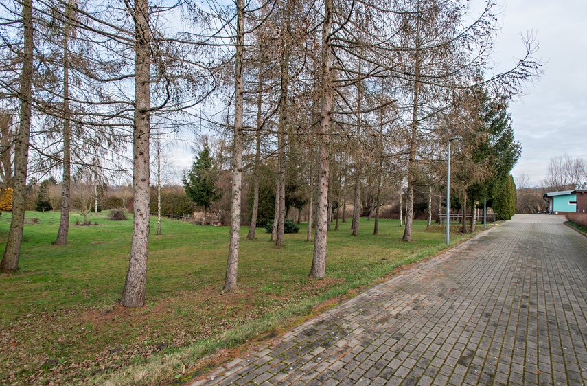Tu nauka i empatia idą w parze zdjęcie nr 326222