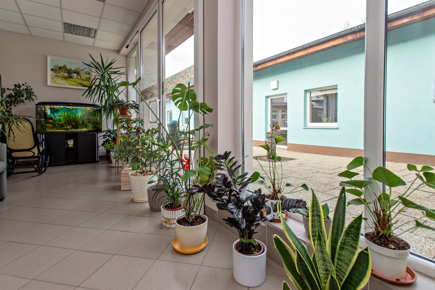 Tu nauka i empatia idą w parze zdjęcie nr 326214