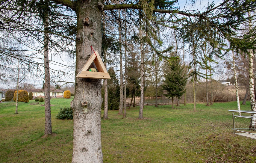 Tu nauka i empatia idą w parze zdjęcie nr 326224