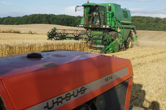 Elbląskie żniwa zdjęcie nr 26183