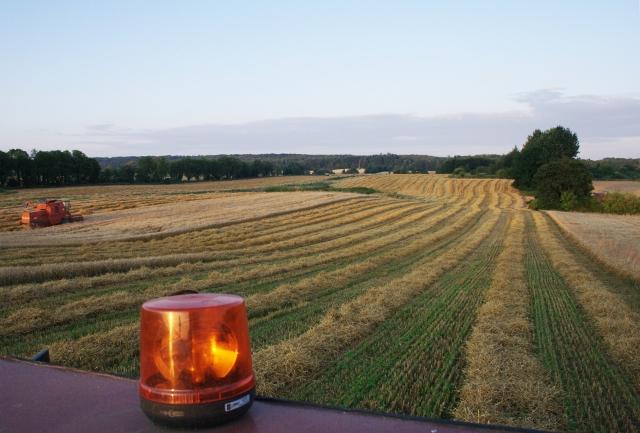 Elbląskie żniwa zdjęcie nr 26187