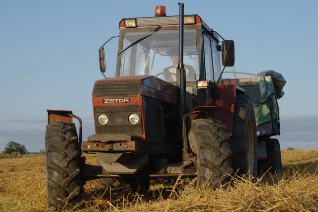 Elbląskie żniwa zdjęcie nr 26188