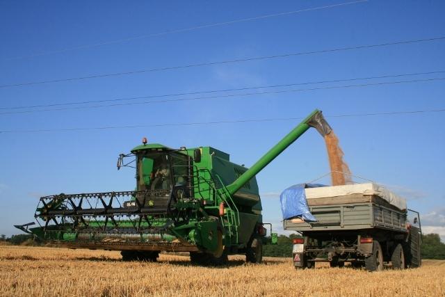 Elbląskie żniwa zdjęcie nr 26172