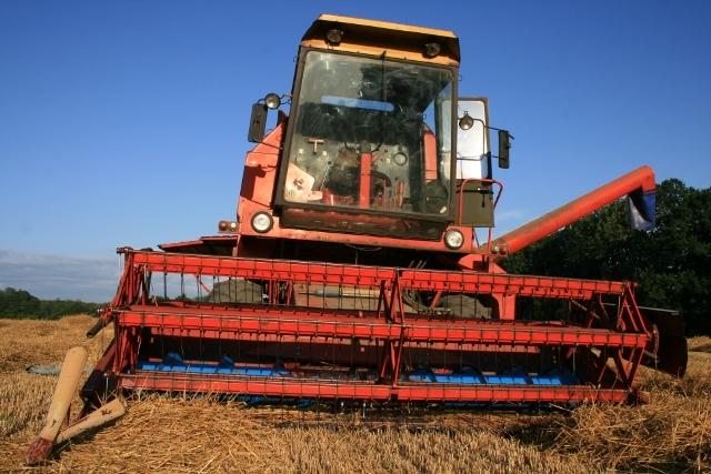 Elbląskie żniwa zdjęcie nr 26178