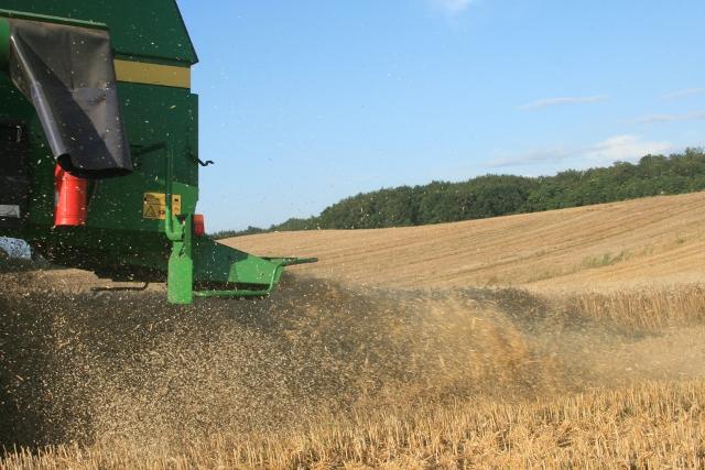 Elbląskie żniwa zdjęcie nr 26176