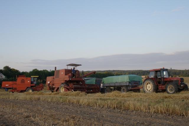 Elbląskie żniwa zdjęcie nr 26190