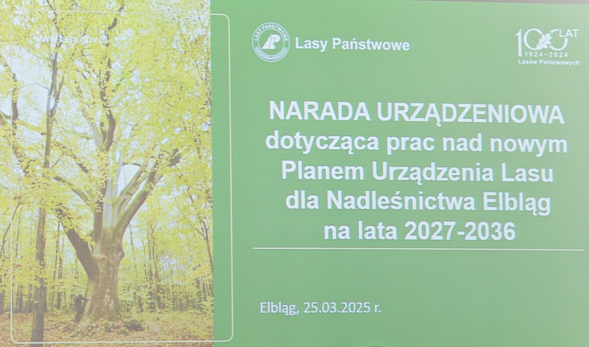 Wokół Elbląga powstaną lasy społeczne zdjęcie nr 327557