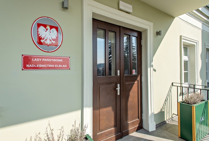 Wokół Elbląga powstaną lasy społeczne zdjęcie nr 327543
