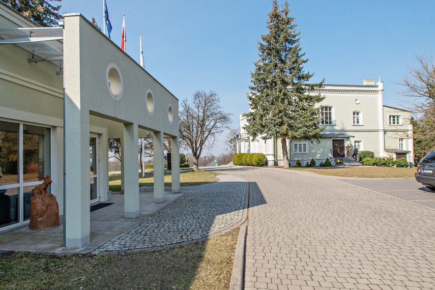 Wokół Elbląga powstaną lasy społeczne zdjęcie nr 327544