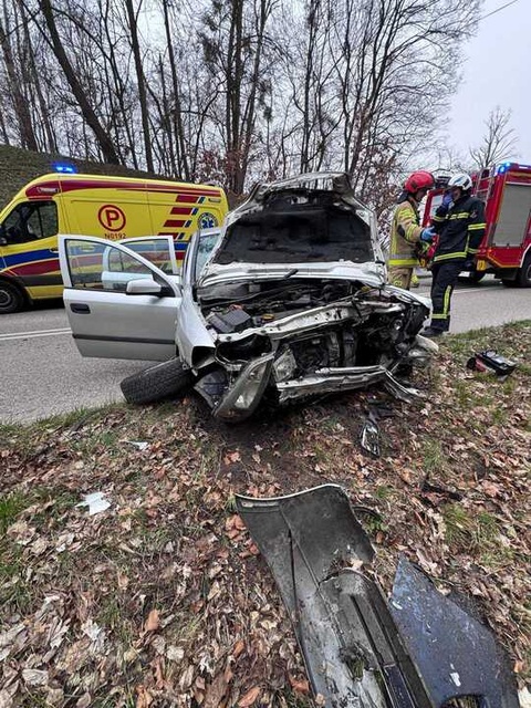 Dachowanie na drodze 503, pięcioro rannych zdjęcie nr 327869