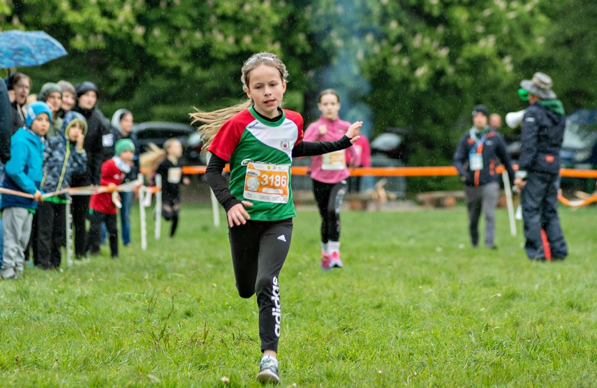 Sowy rozpoczęły Ultra Wysoczyznę zdjęcie nr 329436
