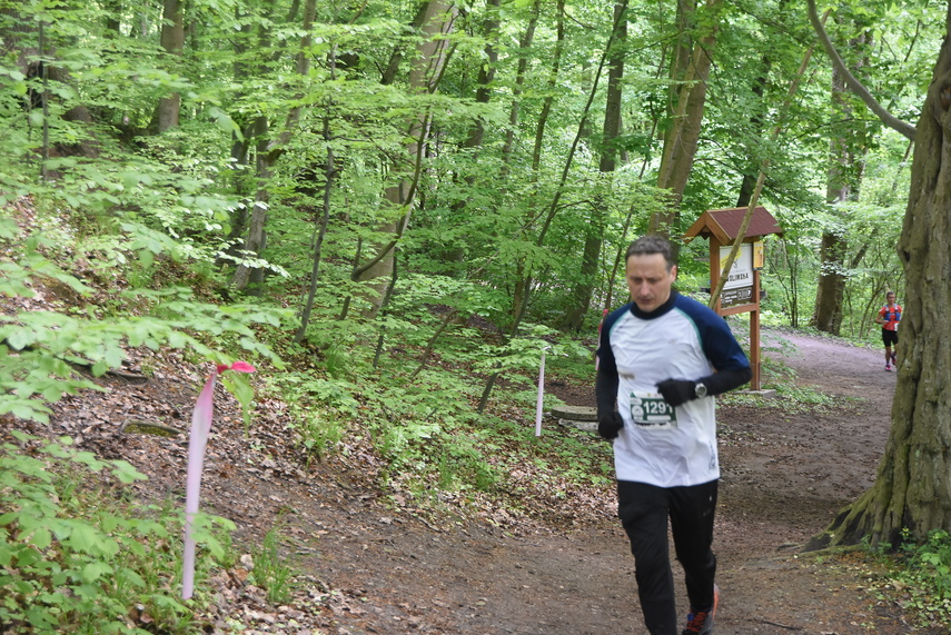 Trwa Ultra Wysoczyzna zdjęcie nr 329557