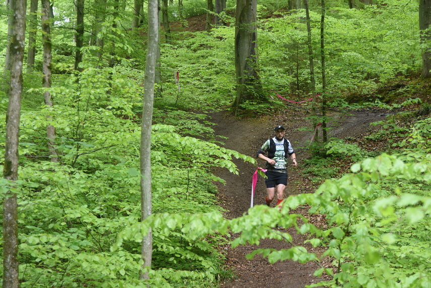 Trwa Ultra Wysoczyzna zdjęcie nr 329535