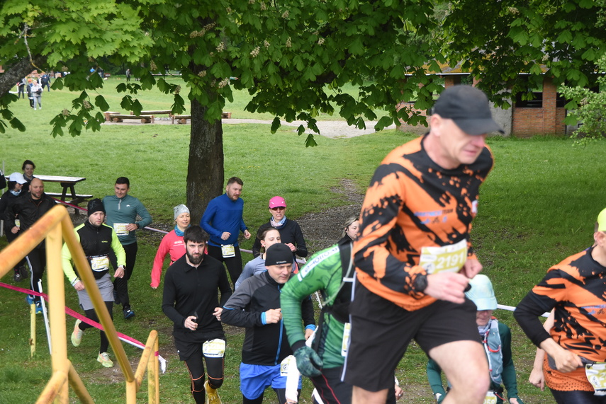 Trwa Ultra Wysoczyzna zdjęcie nr 329520