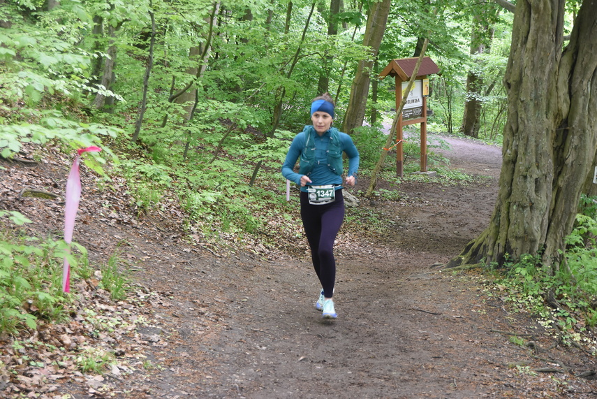 Trwa Ultra Wysoczyzna zdjęcie nr 329559