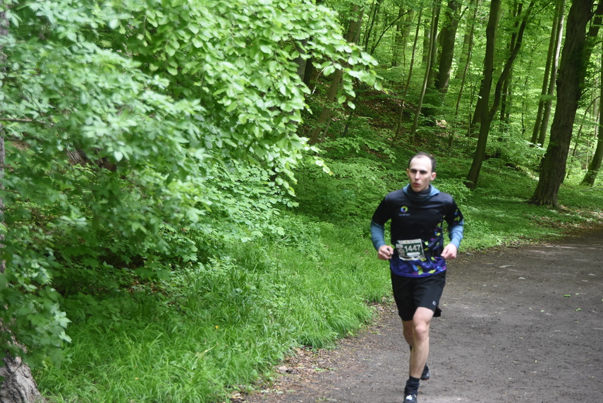 Trwa Ultra Wysoczyzna zdjęcie nr 329554