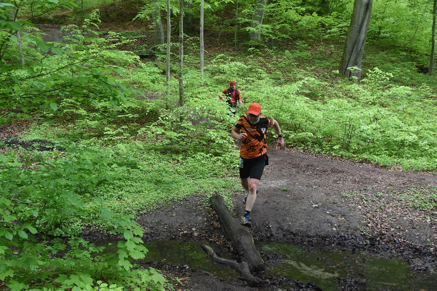 Trwa Ultra Wysoczyzna zdjęcie nr 329531