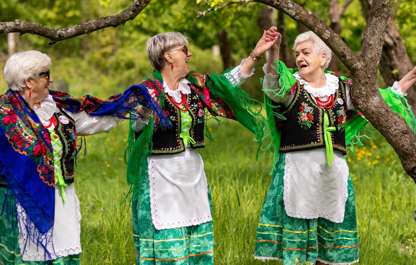 sasanki zdjęcie nr 329635