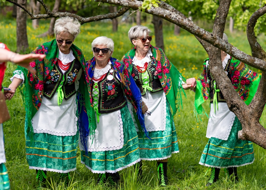 sasanki zdjęcie nr 329629