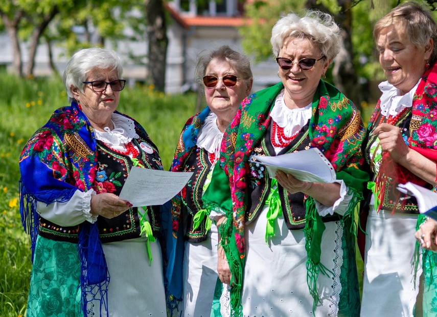 sasanki zdjęcie nr 329621