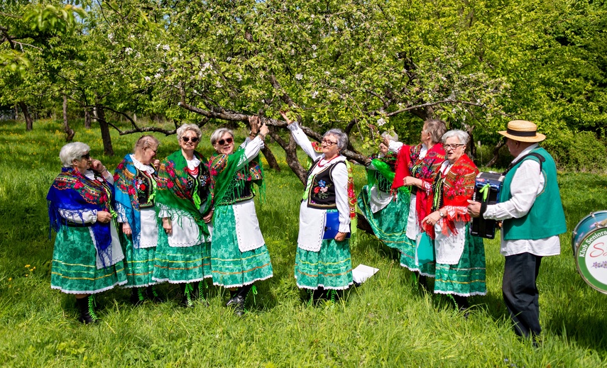 sasanki zdjęcie nr 329623