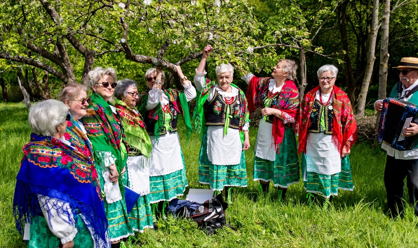 sasanki zdjęcie nr 329624