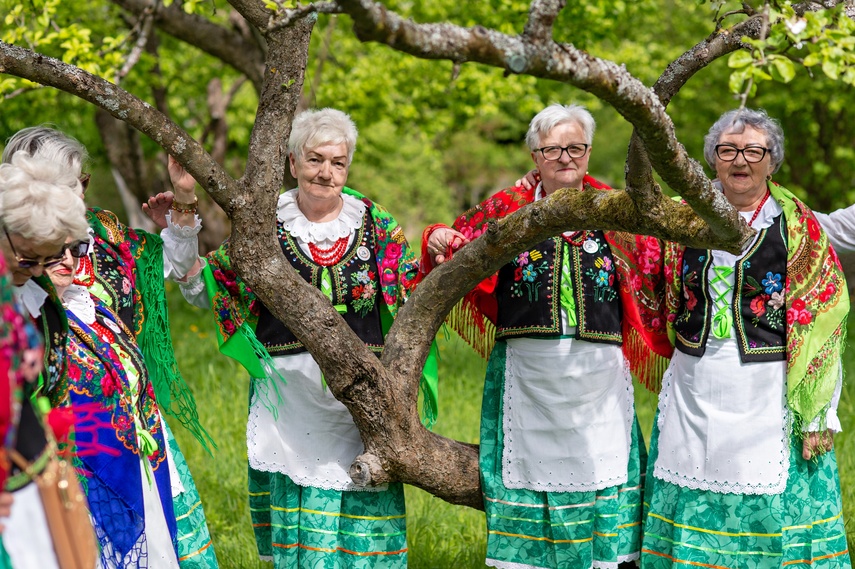 sasanki zdjęcie nr 329627