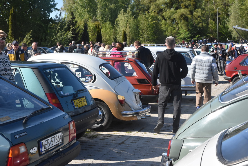 Klasyka motoryzacji zdjęcie nr 329708