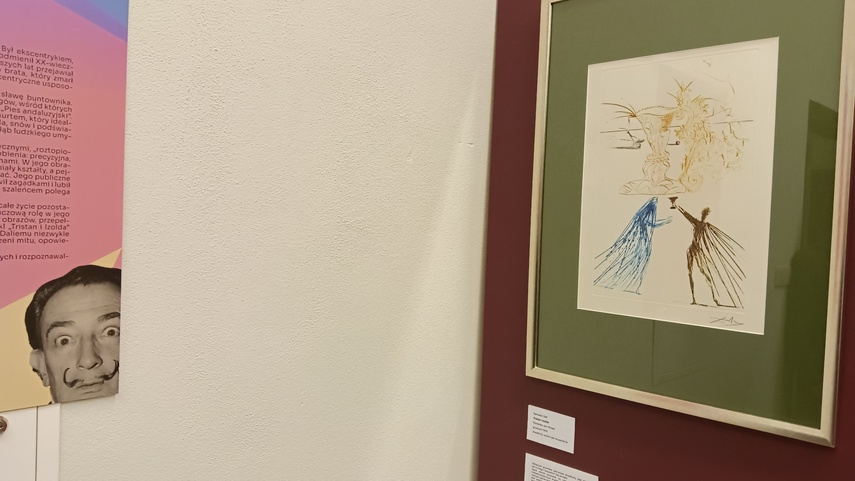 Noc Muzeów po elbląsku zdjęcie nr 329883