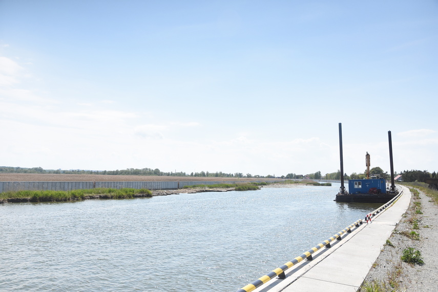 Wybierają zalegającą w rzece Elbląg ziemię zdjęcie nr 330091