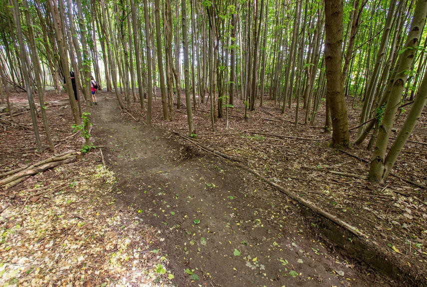 Bażantarnia czeka na kolarzy MTB zdjęcie nr 330529