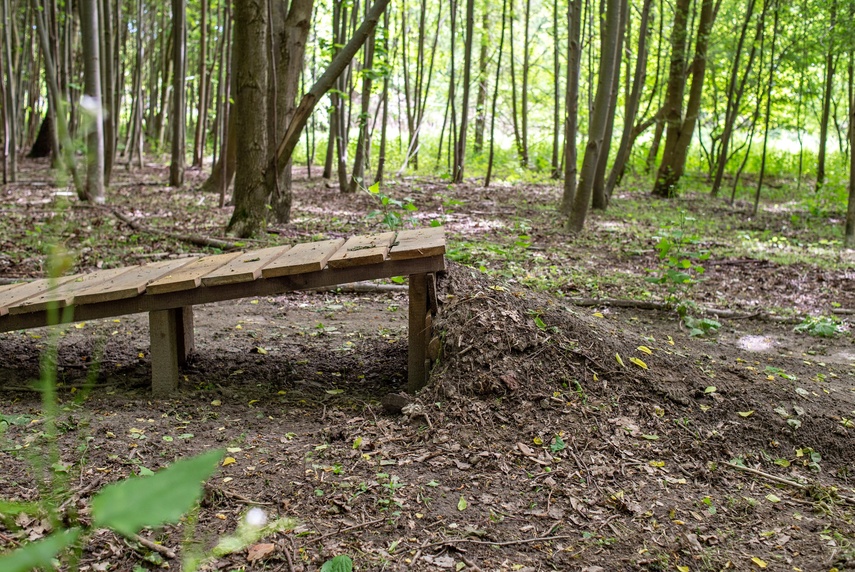 Bażantarnia czeka na kolarzy MTB zdjęcie nr 330522