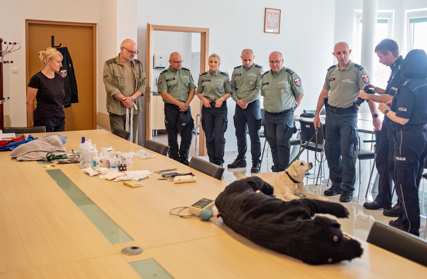 Nos i cztery łapy na służbie zdjęcie nr 330867