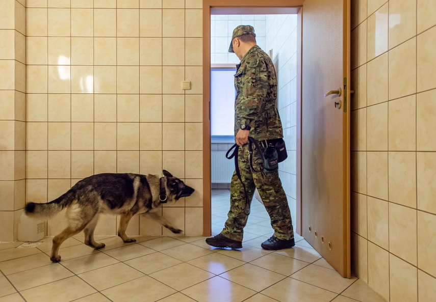 Nos i cztery łapy na służbie zdjęcie nr 330860