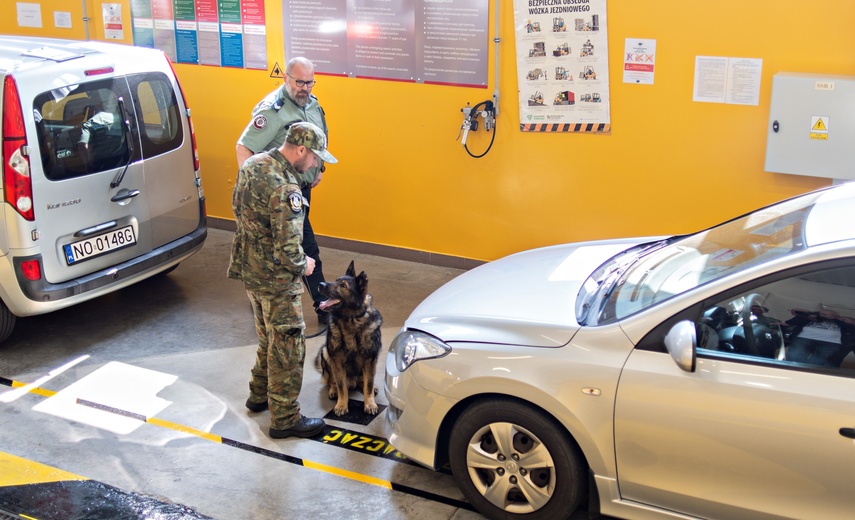 Nos i cztery łapy na służbie zdjęcie nr 330848