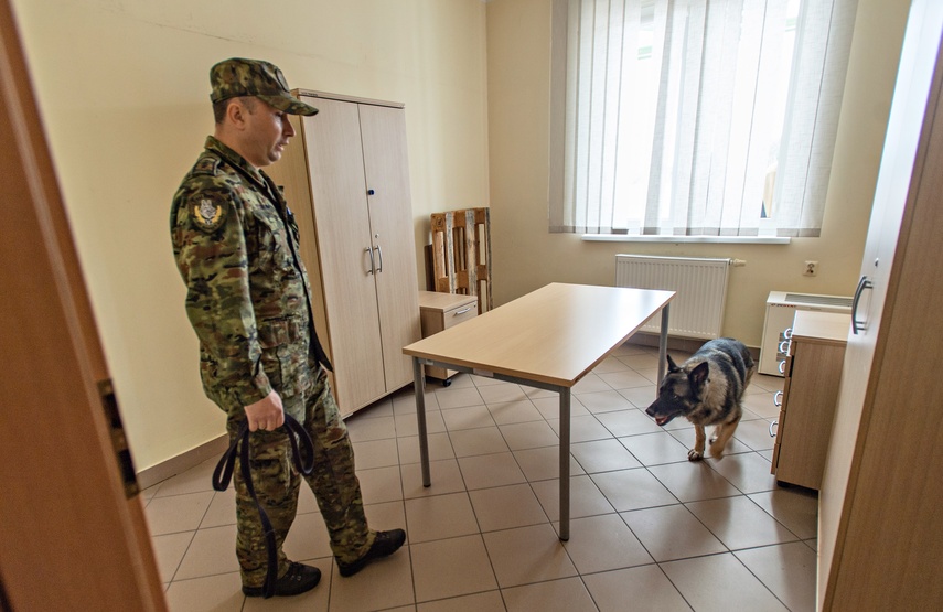 Nos i cztery łapy na służbie zdjęcie nr 330861