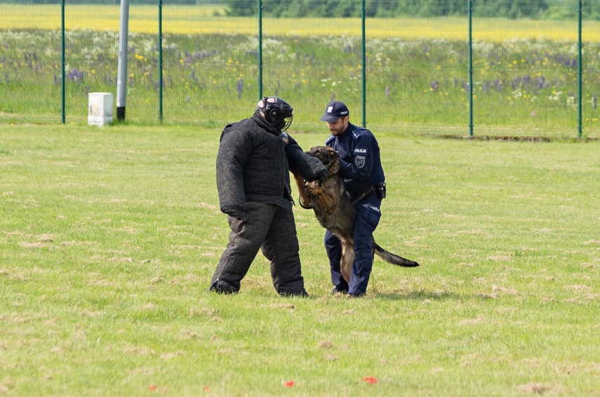 Nos i cztery łapy na służbie zdjęcie nr 330866